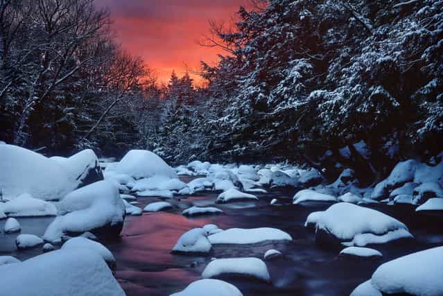 [Snowy River Sunrise]. I had scouted this scene previously. I knew a recent January thaw had cleared the stream, and fresh snow had fallen overnight. I hiked by headlamp in the dark, set up my tripod, and waited in the freezing cold darkness. I was rewarded with this. Location: Bartlett, White Mountains, New Hampshire, USA. (Photo and caption by Dana Clemons/National Geographic Traveler Photo Contest)