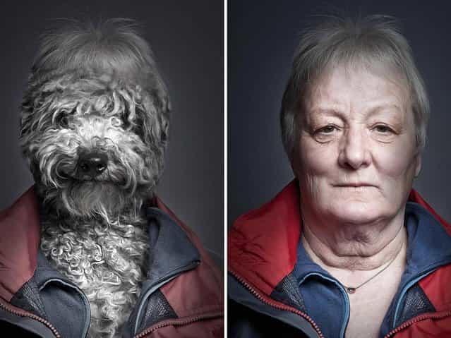 The [Underdogs] Project by Sebastian Magnani