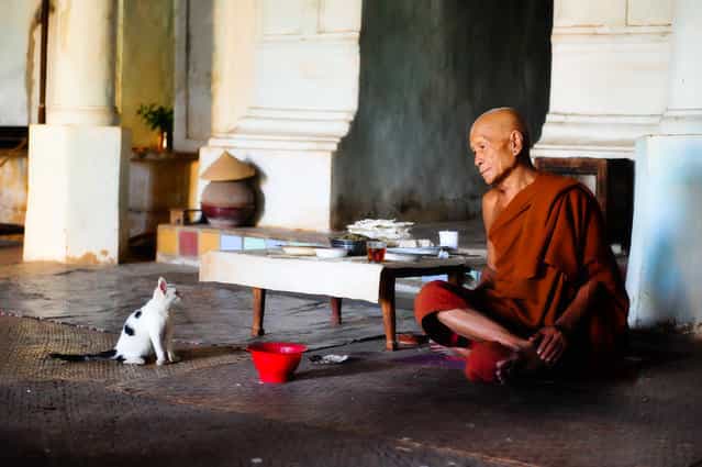 [Companions]. While travelling through remote parts of Inle Lake, I came across this monk who chose to live in complete isolation. The young cat was his only companion. Location: Indein, Inle Lake, Burma (Myanmar). (Photo and caption by Leon Shkolnik/National Geographic Traveler Photo Contest)