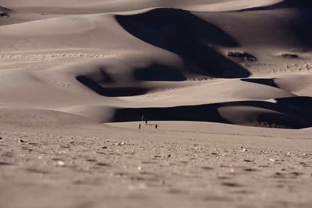 [Great Sand Dunes]. Walking on the dunes looking towards I could appreciate how small we are compared to the dunes. The dunes seems neverending while you walk. Location: Great Sand Dunes NP. (Photo and caption by Matteo Berte/National Geographic Traveler Photo Contest)