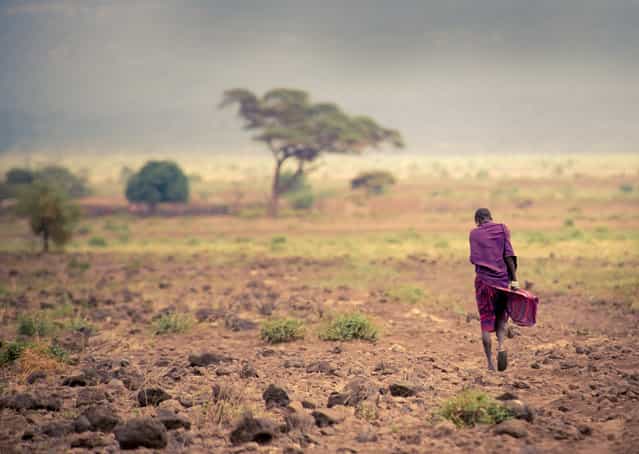 [On the move]. A lonely Massai walking in the desert. Location: Kenya, Ambosseli. (Photo and caption by Romana Wyllie/National Geographic Traveler Photo Contest)