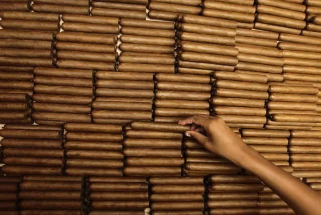 A woman sorts cigars at the Cohiba cigar factory [El Laguito] in Havana September 10, 2012. (Photo by Desmond Boylan/Reuters)