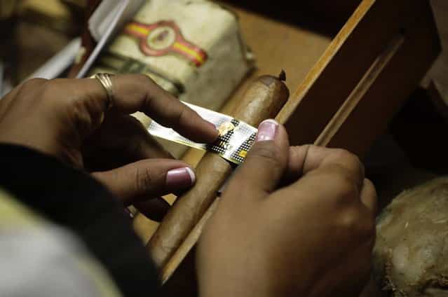A woman fixes the ring on a high end [Behike 56] cigar at the Cohiba factory [El Laguito] in Havana September 10, 2012. (Photo by Desmond Boylan/Reuters)