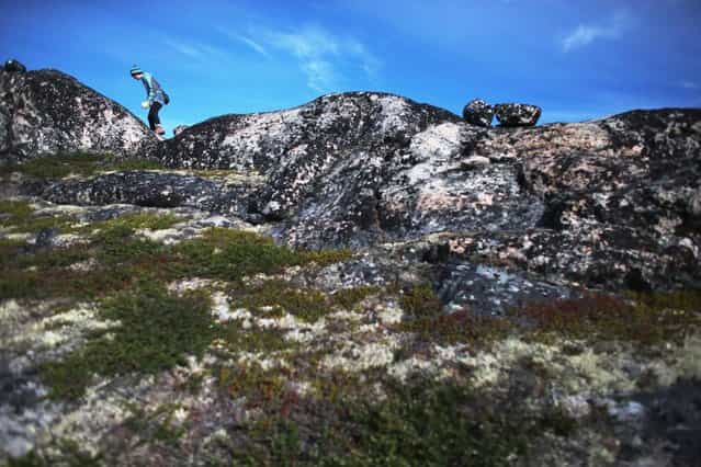 Sandra Cronauer, with the University of Buffalo, Department of Geology, looks for marks on the surface of the rocks to indicate the direction of the glacial movement when it was covered by ice on July 24, 2013 in Ilulissat, Greenland. (Photo by Joe Raedle/Getty Images via The Atlantic)