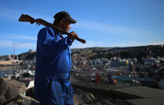 A hunter carries his rifle as he heads to his boat in Ilulissat, on July 19, 2013. (Photo by Joe Raedle/Getty Images via The Atlantic)