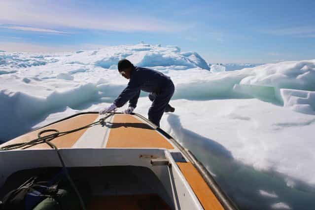 Knud Sakaessen jumps off onto an iceberg that broke off from the Jakobshavn Glacier as he takes some of the ice for use at home on July 21, 2013 in Ilulissat, Greenland. (Photo by Joe Raedle/Getty Images via The Atlantic)