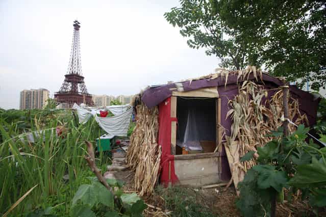 A farmer's house is seen near a replica of the Eiffel Tower at the Tianducheng development in Hangzhou, Zhejiang Province August 1, 2013. Tianducheng, developed by Zhejiang Guangsha Co. Ltd., started construction in 2007 and was known as a knockoff of Paris with a scaled replica of the Eiffel Tower standing at 108 metres (354 ft) and Parisian houses. Although designed to accommodate at least 10 thousand people, Tianducheng remains sparsely populated and is now considered as a [ghost town], according to local media. (Photo by Aly Song/Reuters)