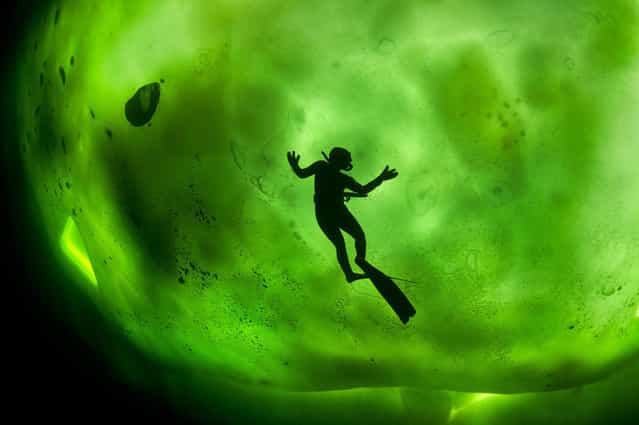 Photographer: George Karbus. Athlete: Katerina Hamsikova. Location: White Sea, Arctic Circle, Russian Federation. (Photo by George Karbus/Red Bull Illume via The Atlantic)