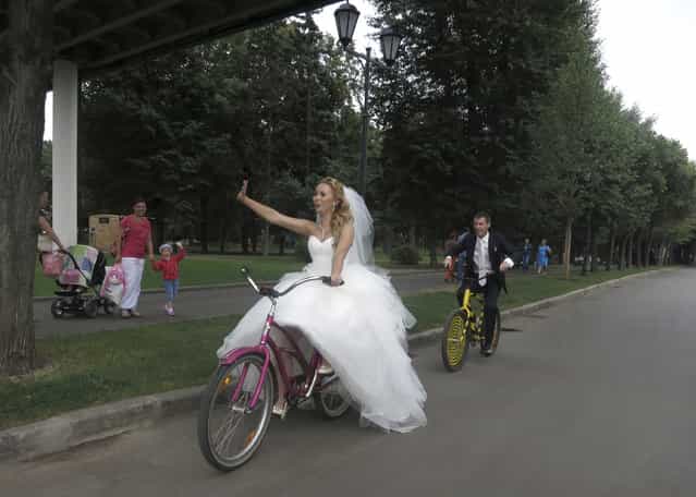 Yelena Babkini (L) and her husband wave as they ride through Gorky Park on bicycles after having been married earlier in the day in Moscow, August 15, 2013. (Photo by Gary Hershorn/Reuters)