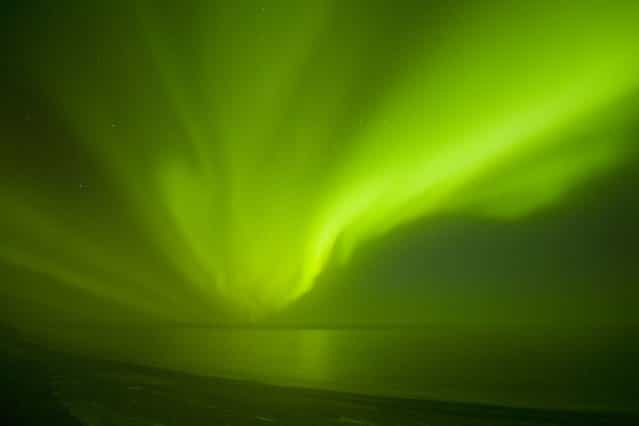 Northern lights (Aurora borealis) glow brightly and snake over the 1002 coastal area of the Arctic National Wildlife Refuge in North Slope, Alaska. (Photo by Steven Kazlowski/Barcroft Media)