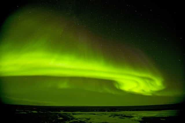 Northern lights (Aurora borealis) glow brightly and snake over the 1002 coastal area of the Arctic National Wildlife Refuge in North Slope, Alaska. (Photo by Steven Kazlowski/Barcroft Media)