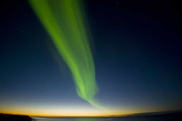 Northern lights (Aurora borealis) glow brightly and snake over the Arctic National Wildlife Refuge in Brooks Range, Alaska. (Photo by Steven Kazlowski/Barcroft Media)