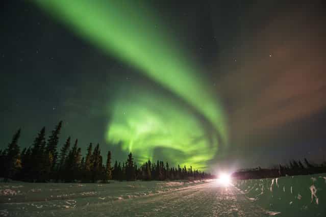 Northern lights (Aurora borealis) glow brightly over Steese Highway in Fairbanks, Alaska. (Photo by Steven Kazlowski/Barcroft Media)