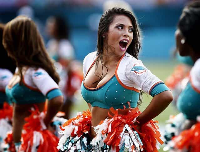 A Miami Dolphins cheerleader reacts to a play during a scrimmage in Miami. (Photo by J. Pat Carter/Associated Press)