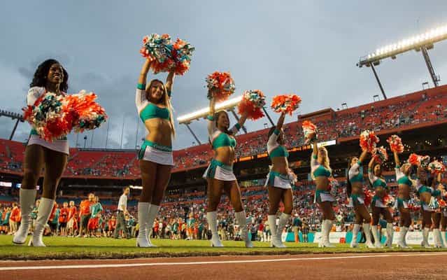 Miami Dolphins cheerleaders perform during a preseason game against Tampa Bay at Sun Life Stadium in Miami Gardens. (Photo by Allen Eyestone/The Palm Beach Post)