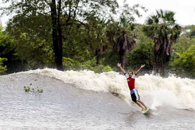 Brazilian surfer Savio Carneiro celebrates as catches the thunderous [Pororoca] tidal bore wave during the national pororoca circuit final on the Mearim River, some 30 km inland, in the Amazon jungle near the northern Brazilian city of Arari, on April 19, 2003. The term [Pororoca] comes from the Amazonian indigenous term meaning [destroyer, great blast]. The feared and thunderous waves have capsized boats and washed away most anything in its path. (Photo by Sergio Moraes/Reuters via The Atlantic)