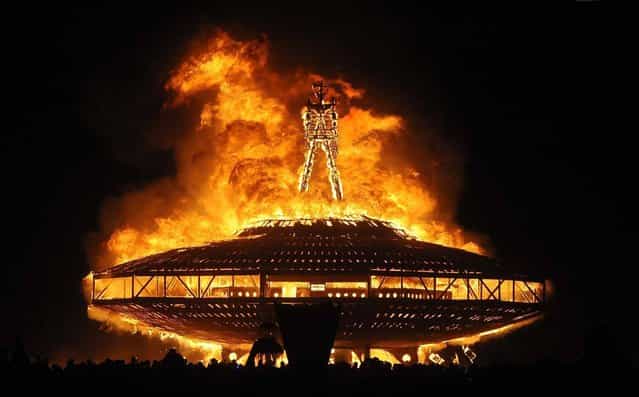 The [Man] burns on the Black Rock Desert at Burning Man near Gerlach, Nev. on August 31, 2013. U.S. Bureau of Land Management spokesman Mark Turney said Saturday more than 61,000 people have turned out so far for the weekend Burning Man outdoor art and music festival in the Black Rock Desert of northern Nevada. (Photo by Andy Barron/AP Photo/Reno Gazette-Journal)