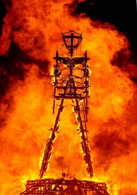 The [Man] burns on the Black Rock Desert at Burning Man near Gerlach, Nev. on August 31, 2013.U.S. Bureau of Land Management spokesman Mark Turney said Saturday more than 61,000 people have turned out so far for the weekend Burning Man outdoor art and music festival in the Black Rock Desert of northern Nevada. (Photo by Andy Barron/AP Photo/Reno Gazette-Journal)