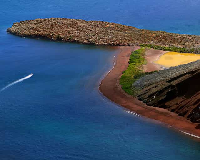 Galápagos. (Photo by Diego Bermeo)