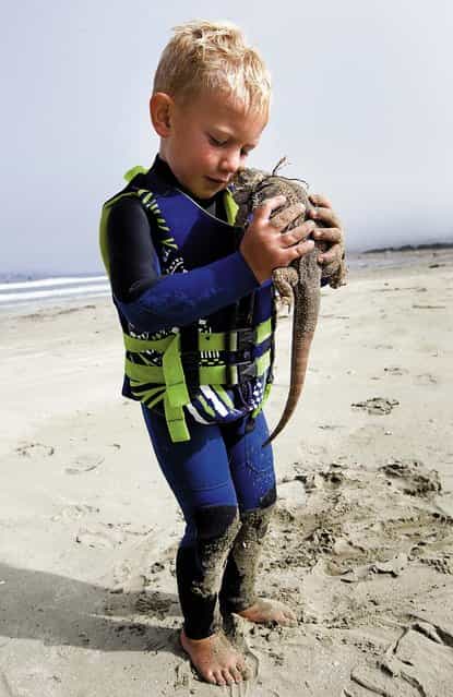 Triston plays with a tourist's on the beach. (Photo by Joe Johnston/The Tribune of San Luis Obispo)