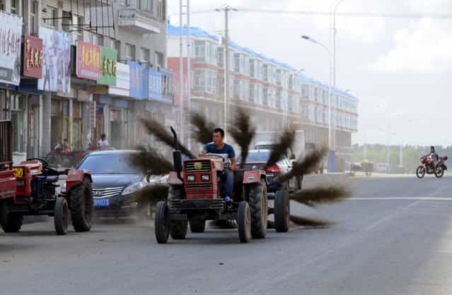 A man drives an improvised tractor with 12 brooms tied in the rear, as he tries to clean a road in Mohe, Heilongjiang province, August 31, 2013. (Photo by Reuters/Stringer)