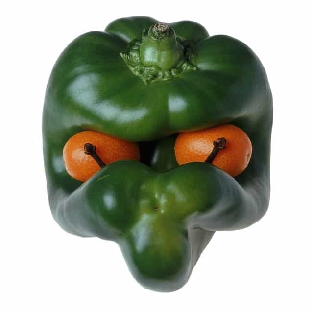 [Grumpy pepper]. (Photo by Christel Jeanne)