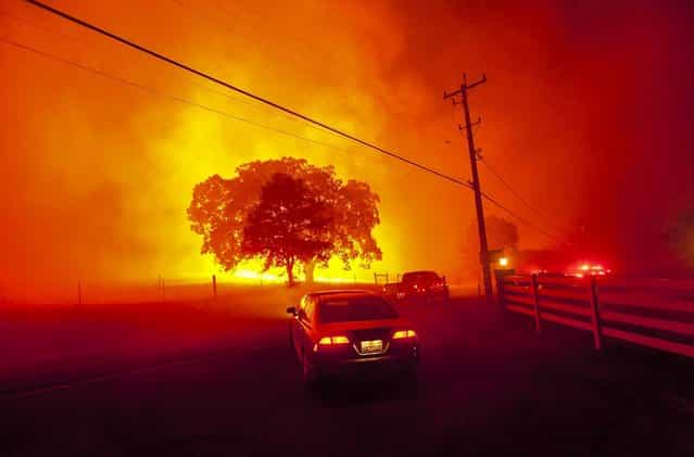 Residents flee as winds whip flames from the Morgan fire near Clayton, California, on September 9, 2013. The blaze has scorched some 3,700 acres and forced the evacuation of about 100 homes. (Photo by Noah Berger/Reuters)