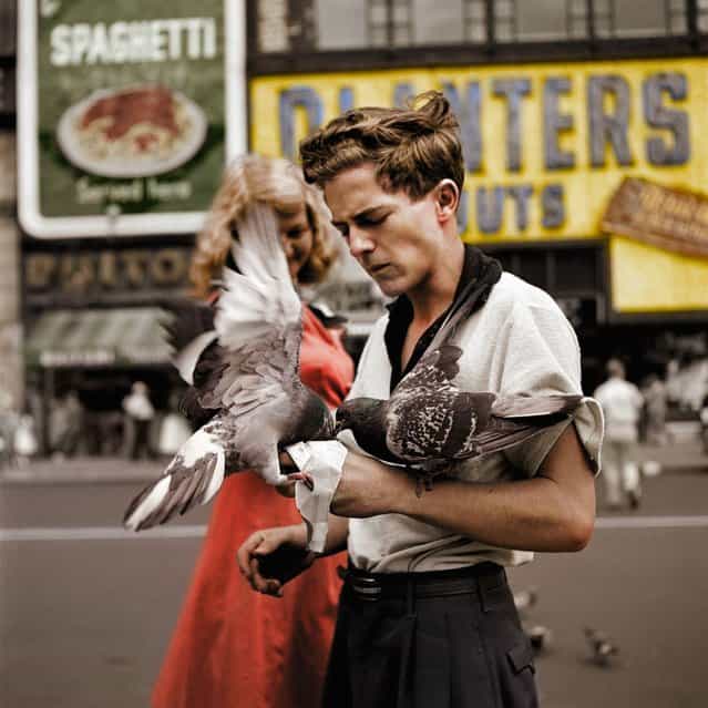 Pigeon Feeder c.1955.