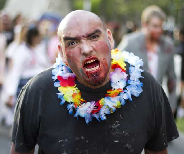[This zombie did not have fun in Hawaii]. (Photo and caption by Nathan Rupert)