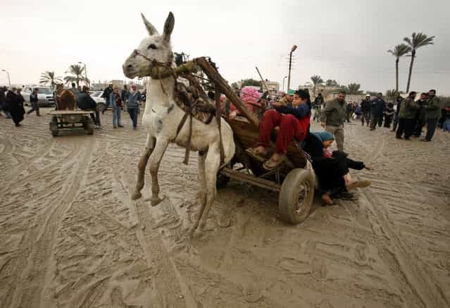 A Palestinian family falls from a donkey cart after they crossed a breach on the border wall between the Gaza Strip and Egypt January 27, 2008. (Photo by Suhaib Salem/Reuters)