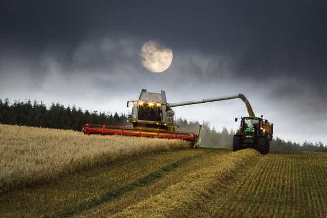 Harvest Moon. (Photo by Ralph Rayner)