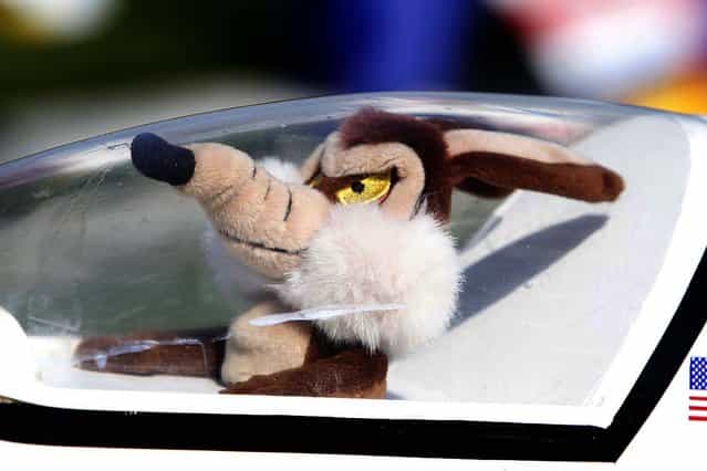 Wile E. Coyote is in the cockpit of an 80 inch Ultra Sport remote control plane. (Photo by Bill Ingram/The Palm Beach Post)