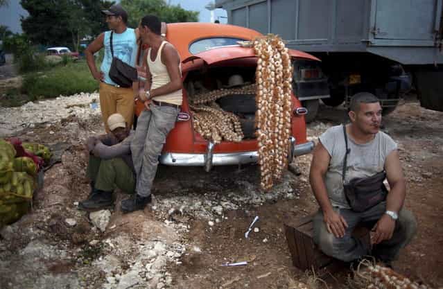 In this September 30, 2013 photo, farmers wait for customers next to their 1950s Chevrolet loaded with garlic for sale at the 114th Street Market on the outskirts of Havana, Cuba. The market s bustle is a result of economic reforms begun in 2010 by President Raul Castro, which includes relaxing rules on private farming. (Photo by Ramon Espinosa/AP Photo)