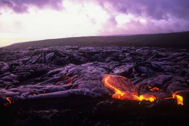 A lava field at the Kilauea volcano in Kilauea, Hawaii. (Photo by Kirk Aeder/Barcroft Media)