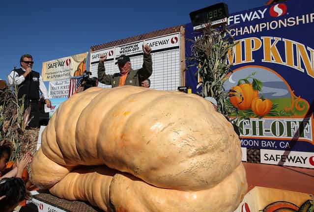 Gary Miller (R) of Napa, California celebrates after winning the 40th Annual Safeway World Championship Pumpkin Weigh-Off on October 14, 2013 in Half Moon Bay, California. Gary Miller's gigantic pumpkin weighed in at 1,985 pounds to win the 40th Annual Safeway World Championship Pumpkin Weigh-Off. Miller took home a cash prize of $11,910, or $6.00 a pound. (Photo by Justin Sullivan/AFP Photo)