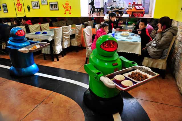 Robots deliver dishes to customers at a Robot Restaurant in Harbin, Heilongjiang province, China, on January 12, 2013. Opened in June 2012, the restaurant has gained fame in using a total of 20 robots, which range in heights of 1.3-1.6 meters (4.27-5.25 ft), to cook meals and deliver dishes. The robots can work continuously for five hours after a two-hour charge, and are able to display over 10 expressions on their faces and say basic welcoming sentences to customers. (Photo by Sheng Li/Reuters)