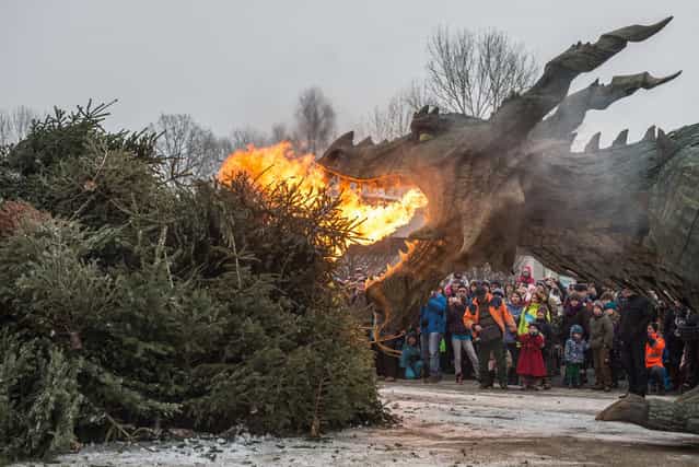 A robotic dragon from the medieval spectacle [The Dragon's Sting] burns Christmas trees in Furth im Wald, Germany, on January 24, 2013. (Photo by Armin Weigel/AP Photo/DPA)
