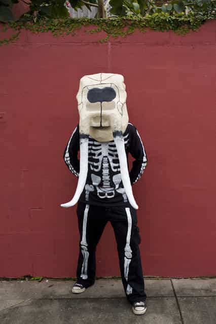 [The Skeleton Krewe 2013 – I.] (Kevin O'Mara)