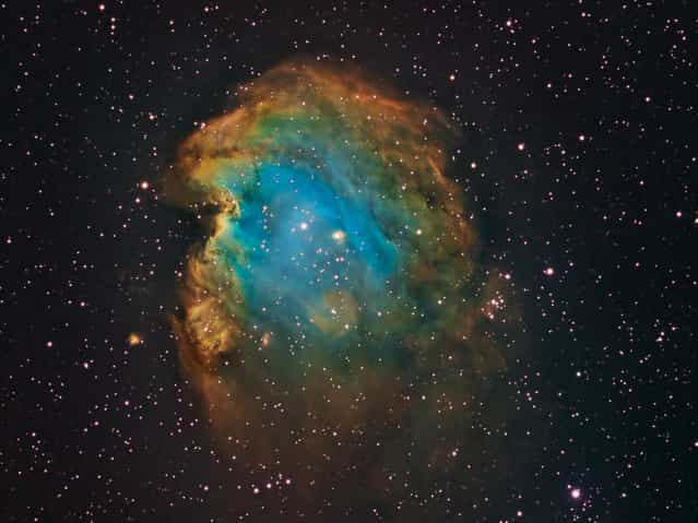 NGC2174 the Monkey Head Nebula in the constellation Orion is 6400 light years from Earth. This is an emission nebula surrounding star cluster NGC2174. (Bill Snyder)