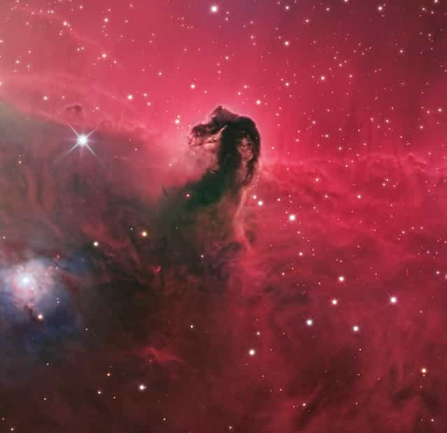IC434 The Horsehead Nebula is approximately 1500 lightyears from Earth in the constellation Orion. The Horsehead it self, is a dark nebula surrounded by emission nebula. The reddish glow surrounding the dark dust clouds of the horsehead is hydrogen gas ionized by the bright star Sigma Orionis. Bright spots in the Horsehead Nebula’s base are young stars just in the process of forming. (Bill Snyder)