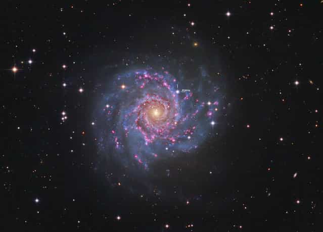 Messier 74 (also known as NGC 628) is a face-on spiral galaxy in the constellation Pisces. It is at a distance of about 32 million light-years away from Earth. The galaxy contains two clearly defined spiral arms and is therefore used as an archetypal example of a Grand Design Spiral Galaxy The galaxy’s low surface brightness makes it the most difficult Messier object for amateur astronomers to observe.However, the relatively large angular size of the galaxy and the galaxy’s face-on orientation make it an ideal object for professional astronomers who want to study spiral arm structure and spiral density waves. It is estimated that M74 is home to about 100 billion stars. Text taken from Wikipedia Check out the full version of this image below as there are many background galaxy’s. (Bill Snyder)