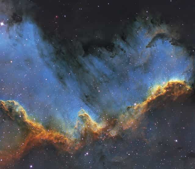 The Cygnus Wall is in the southern area of NGC7000 also known as the North America Nebula. It is approximately 1800 light years from Earth, and is in the constellation Cygnus. The Wall is an energized shock front and contains the most concentrated star formations in the nebula. The size of the North America Nebula is about 4 full moons. (Bill Snyder)