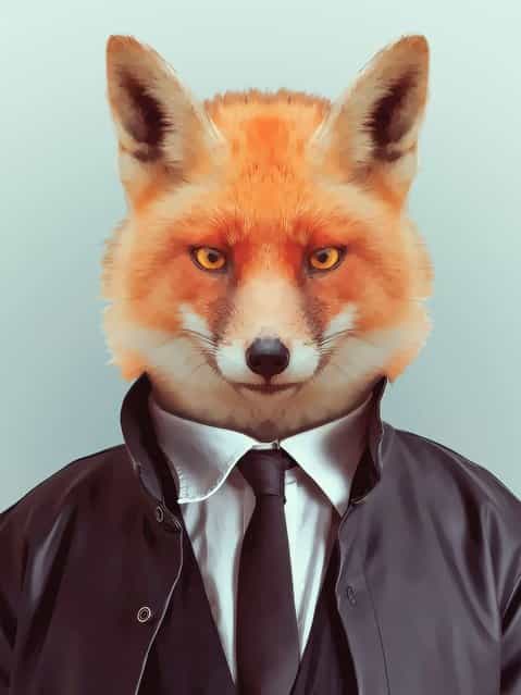 Fox in suit and coat. (Photo by Yago Partal/Barcroft Media)