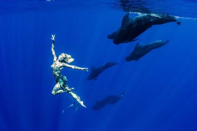 [A stunning underwater shot showing model Hannah Fraser being photographed next to a group of pilot whales]. (Photo by Shawn Heinrichs/Barcroft Media)