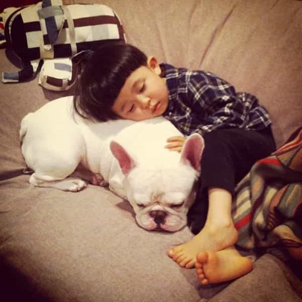 Japanese Boy And His Bulldog » GagDaily News