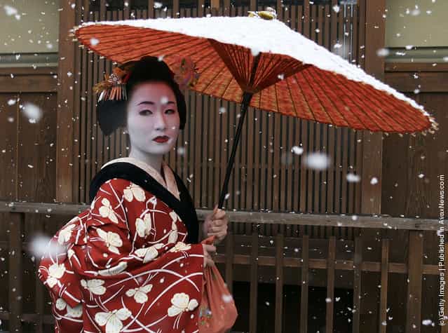 Maiko Geisha Winter...