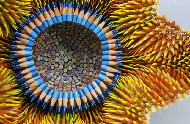 Pencil Sculptures - by Jennifer Maestre