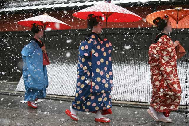 Maiko and Geisha walk in the snow at Gion in Kyoto
