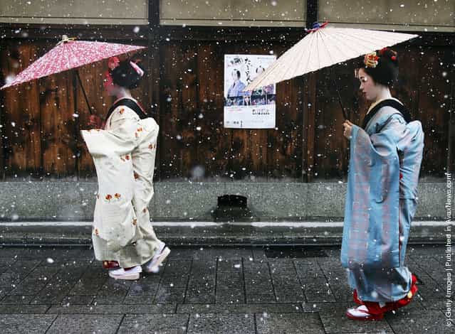 Maiko and Geisha walk in the snow at Gion in Kyoto