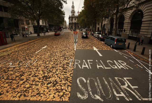 Autumn Leaves Trapped In Road Surface Following Late Summer Heatwave
